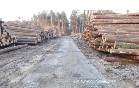 Innowacyjna płyta drogowa z kompozytu